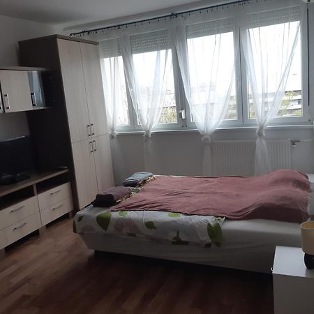 Pillango Parki Kis Lakas 15 Percre A Belvarostol Budapest Extérieur photo